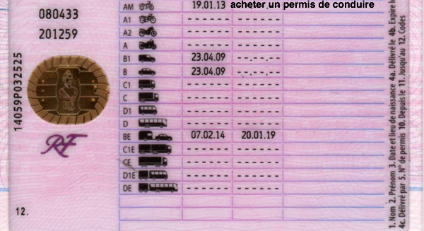 permis de conduire français par catégorie