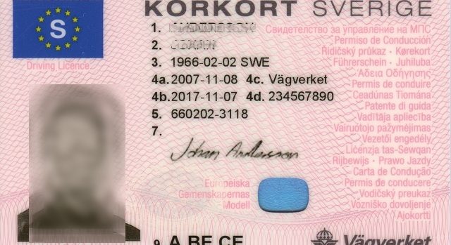 permis de conduire du Danmark